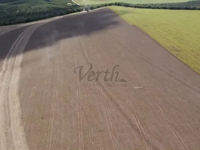 Imagem 4: Fazenda À Venda, 1400Ha, Nova Mutum, - Mt