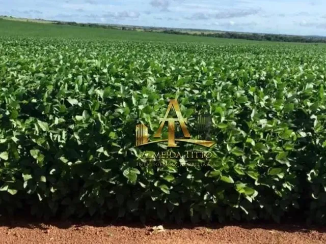 Imagem: Fazenda À Venda - Nova Mutum/Mt