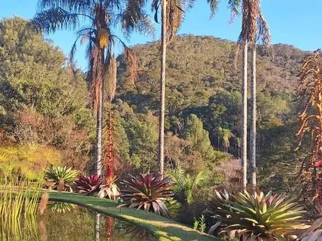 Imagem 11: Refúgio de Sofisticação e Natureza em Secretário