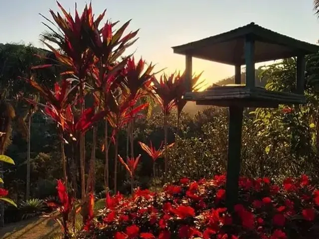Imagem 16: Refúgio de Sofisticação e Natureza em Secretário