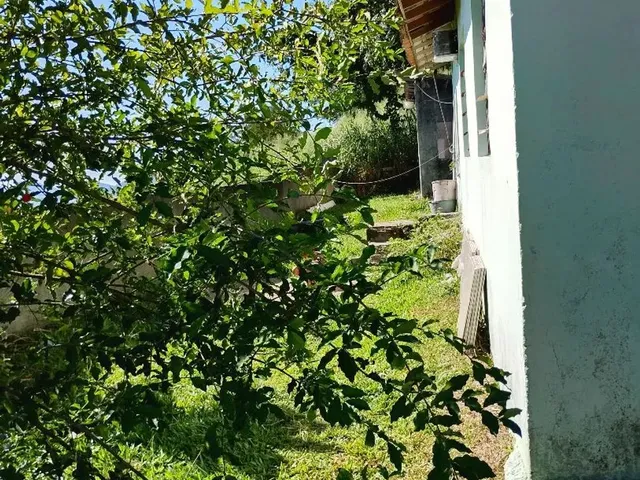 Imagem 7: Vendo Casa na Agronômica