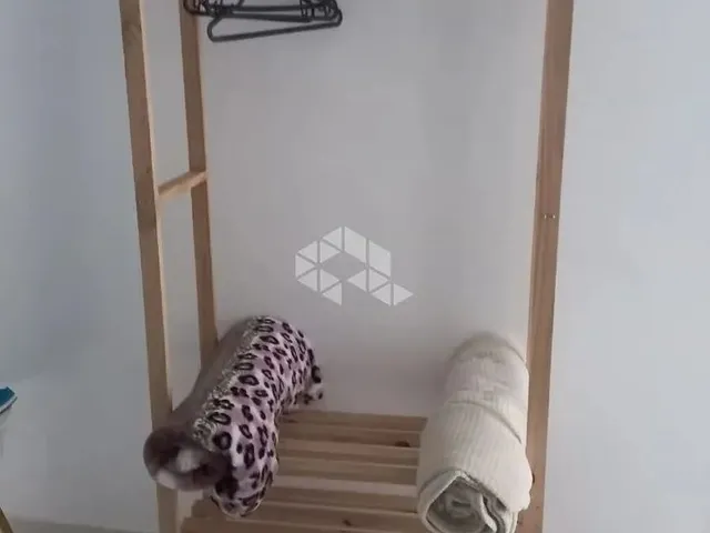Imagem 15: Apartamento com 2 Quartos no Centro de Florianopolis/Sc