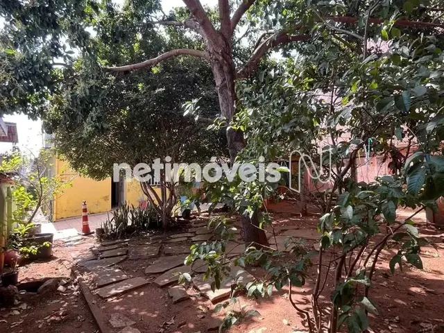 Imagem 13: Casa Á Venda no Bairro Esplanada!!