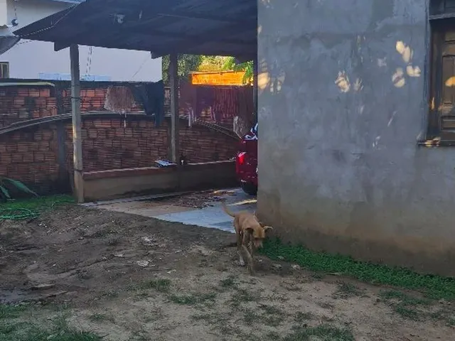 Imagem 2: Casa no Ramal da Palheira (Canil