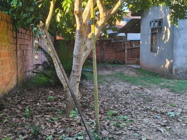 Imagem 6: Casa no Ramal da Palheira (Canil