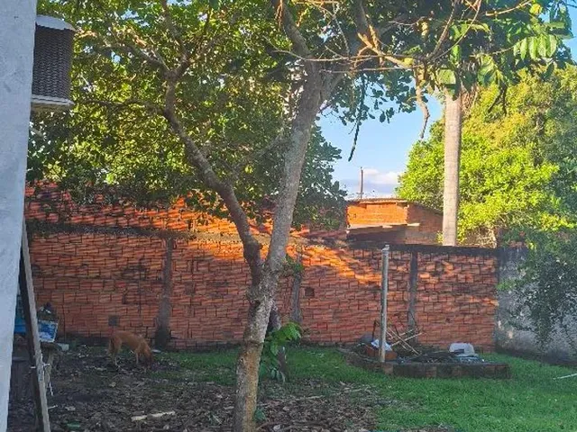 Imagem 9: Casa no Ramal da Palheira (Canil