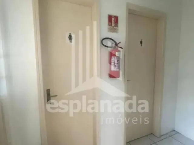 Imagem 5: Excelente Oportunidade para o Seu Negócio! Casa Comercial Ampla e Bem Localizada na Rua