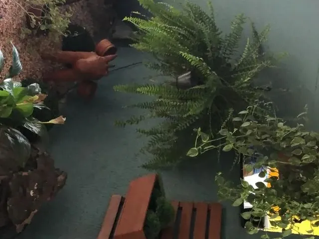 Imagem 2: Aluguel com as Áreas Comuns Compartilhadas