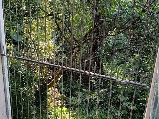 Imagem 7: Casa com Piscina Ano Novo