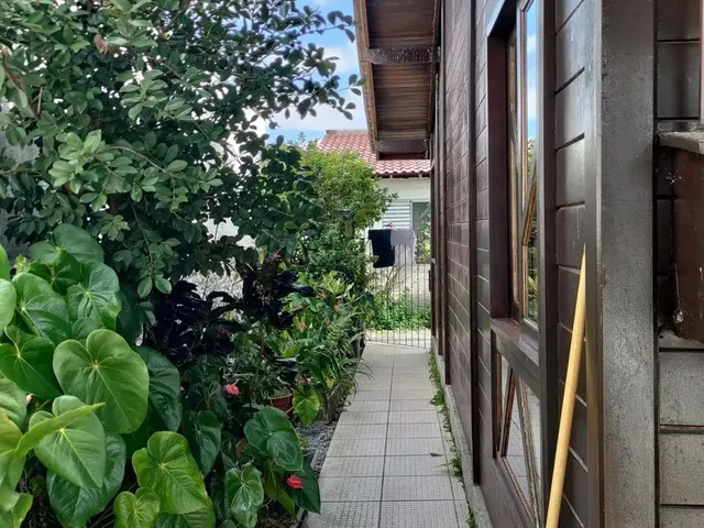 Imagem 7: Casa Aluguel Anual em Daniela - Florianópolis - Sc