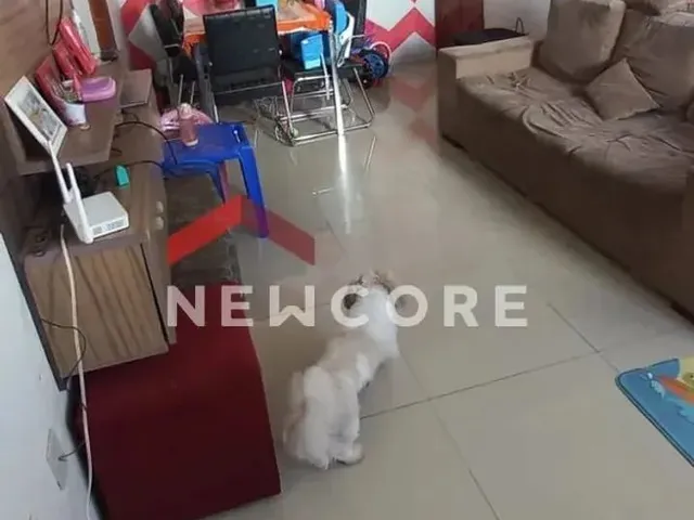 Imagem: Apartamento em Rua Doutor Sílvio Bastos