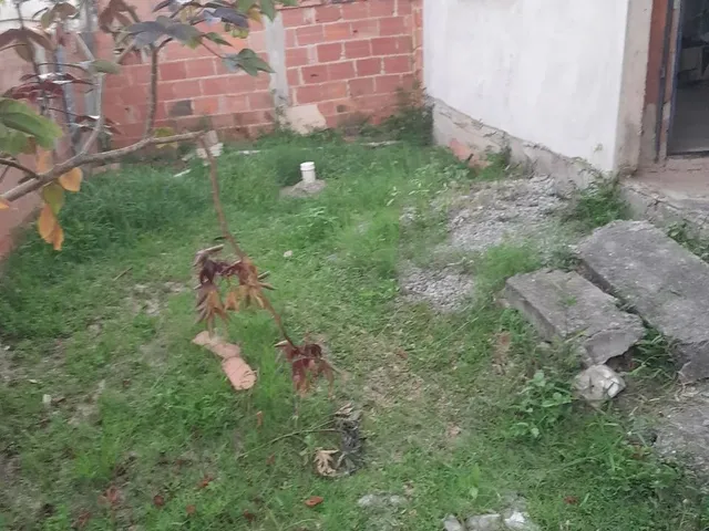 Imagem 5: Venho Uma Casa. Varanda, Imóvel novo, 90m² de Áreae1 Vaga na...