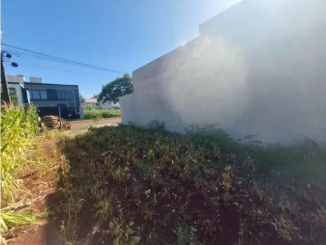 Imagem 7: Terreno de Esquina no Gisela 444M2