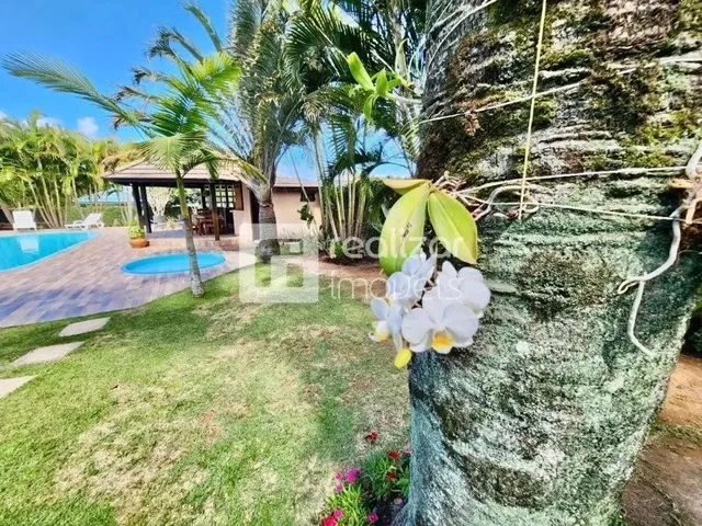 Imagem 6: Casa 4 Suites no Bairro Rio Tavares Florianópolis