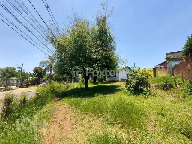 Imagem: Casa À Venda Rua Selso Fidélis Jardim