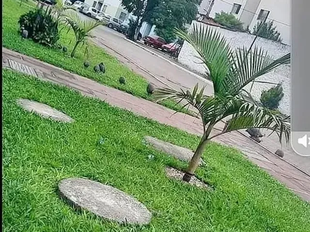 Imagem 6: Apartamento 2 Dormitórios À Venda, Bairro São José