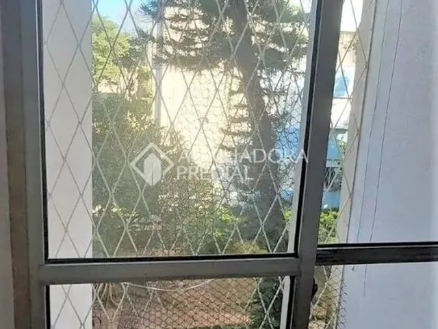 Imagem 3: Apartamento para Alugar com 3 Quartos no Bairro Vila Nova