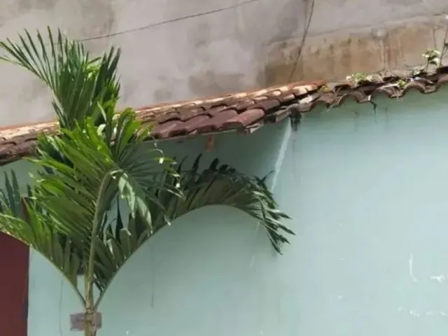 Imagem: Alugo Casa na Palhada