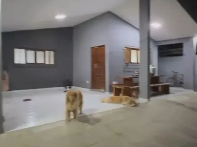 Imagem: Belíssima Casa no Bairro dos Bancários
