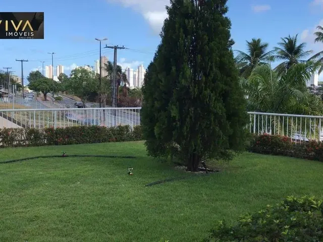 Imagem 6: Apartamento com 2 Dormitórios À Venda, 60 M² por R$ 290.000,00 - Torre - João
