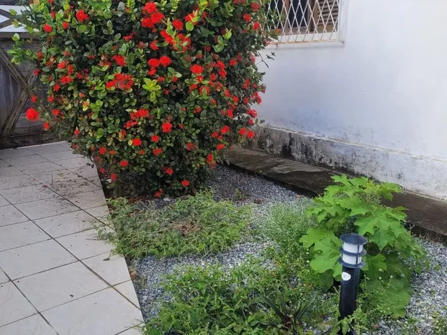 Imagem 10: Vendo Casa em Jaguaribe (Oportunidade