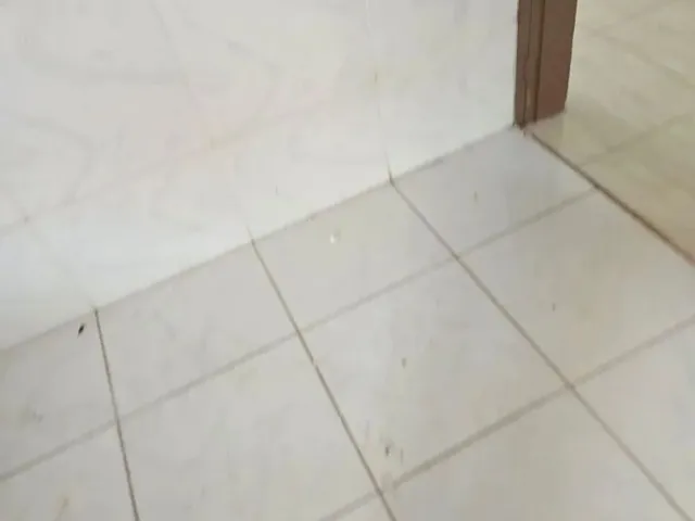 Imagem 9: Aluguel Casa Quadra 18 Sobradinho