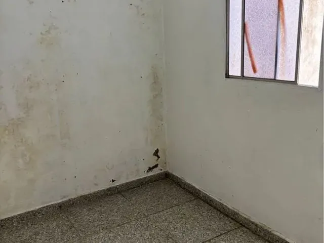 Imagem 3: Casa com 3 Quartos - Arniqueiras (Sem Caução e Fiador