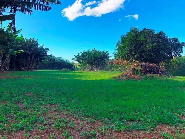 Imagem 4: Aluguel Chacara Lago Oeste