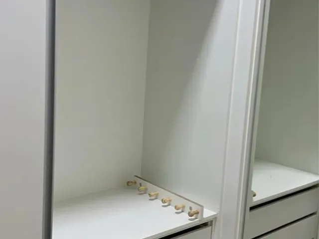 Imagem 12: Casa 3 Quartos na Ponte Alta