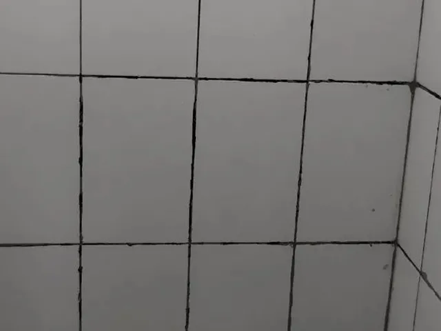 Imagem 2: Aluga Se Apto de 2 Quartos