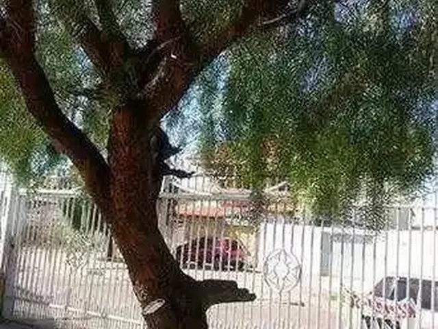 Imagem 1: Aluga?Se Kitnet Proximo Ao Metrô de Taguatinga Sul