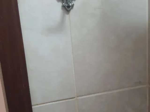 Imagem 9: Aluguel de Apartamento no Gama Setor Central