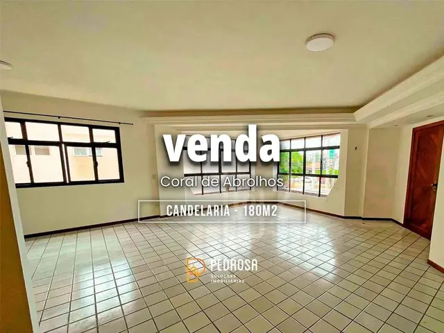 Imagem: Venda Coral de Abrolhos 550Mil Candelária