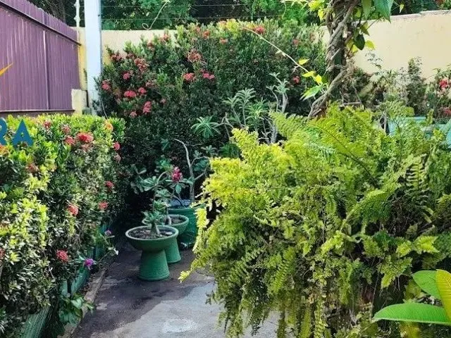 Imagem 8: Casa com 3 Quartos, Suite em Ponta Negra. Excelente!