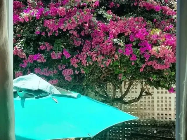 Imagem 7: Casa Térrea! 309M - Sombra 5 Quartos em Pitimbu - Natal - Rn