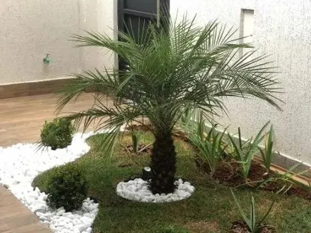 Imagem 8: Casa a Venda em Petropolis / Id 10