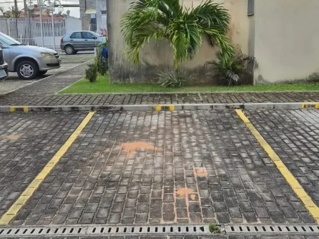 Imagem 5: Excelente Apto com Jardim Privativo
