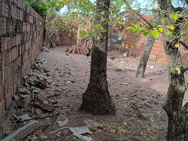 Imagem 3: Casa com Terreno na Zona Norte