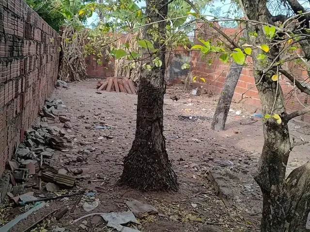 Imagem 5: Casa com Terreno na Zona Norte