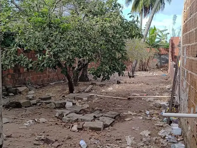 Imagem 6: Casa com Terreno na Zona Norte