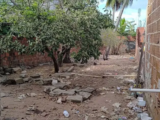Imagem 7: Casa com Terreno na Zona Norte