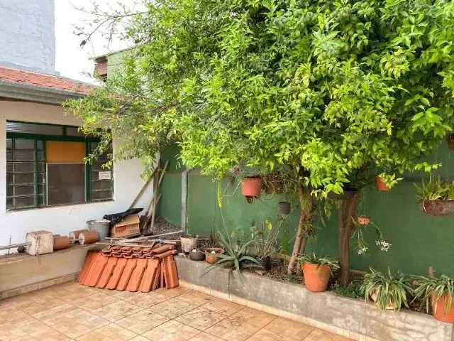 Imagem 13: Casa em Nova Descoberta - Remo-24