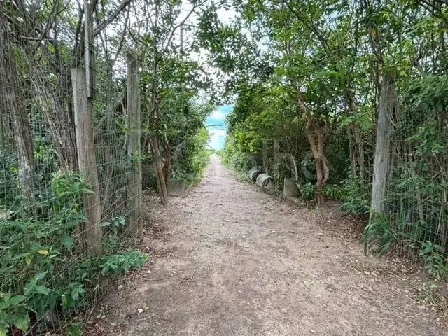 Imagem 11: Casa para Venda em Florianópolis, Morro das Pedras, 4 Dormitórios, 1 Suíte, 3