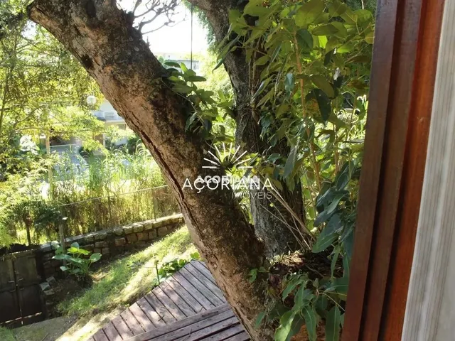 Imagem 4: Casa 2 Dormitórios À Venda Rio Tavares Florianópolis/Sc