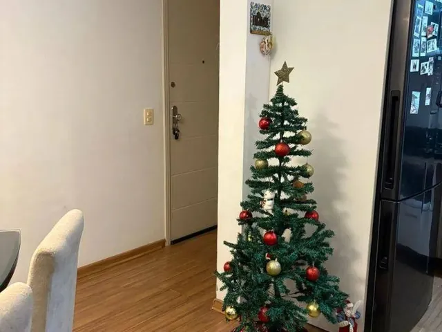 Imagem 15: Apartamento Mobiliado de 3 Dormitórios, Sendo 1 Suíte, no Carianos