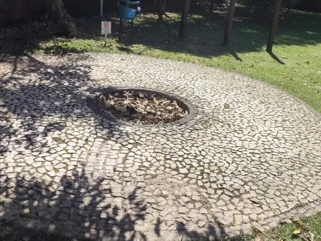 Imagem 2: Casa de 3 Dormitórios À Venda no Rio Tavares