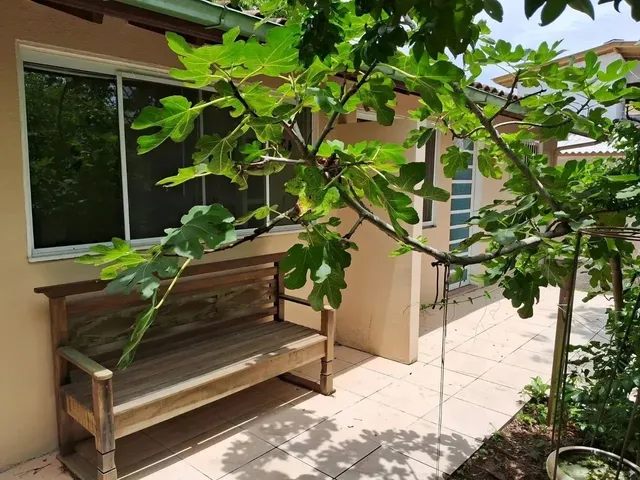 Imagem 13: Casa com 4 Dormitório no Bairro Campeche