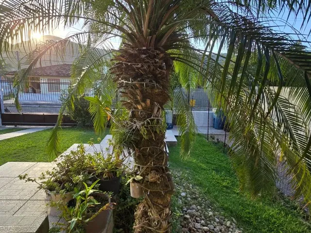 Imagem 13: Casa Individual 3 Quartos À Venda com Edícula, 218,08M² - Armação do Pântano do Sul