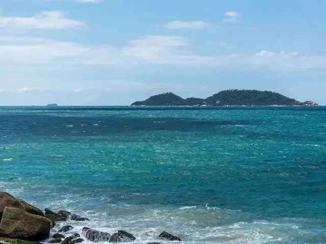 Imagem 9: Cobertura À Venda no Campeche Florianópolis
