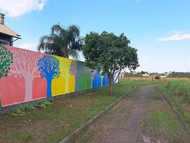 Imagem 7: Apartamento Studio com 32M² Privativos a Venda em Ribeirão da Ilha - Florianópolis - Sc